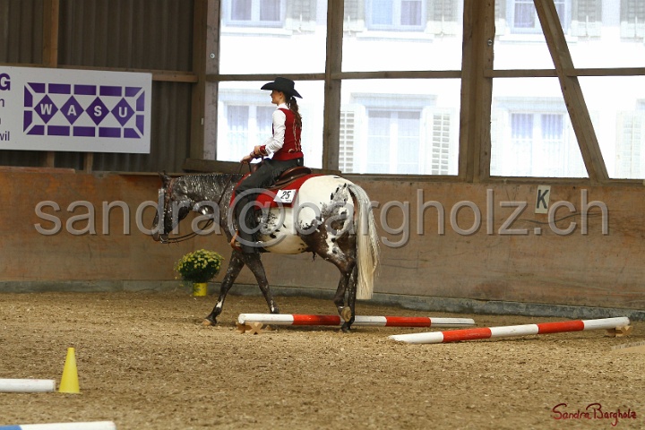 28-ApHC OT_287.jpg